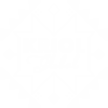 Kriol Global